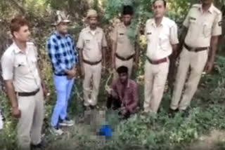 hunter of peacock and other birds detained in Sawai Madhopur