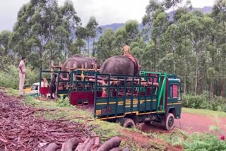 Kumki elephants returns  Mission Arikkomban  Arikkomban  Kumki elephants  അരിക്കൊമ്പനെ മലയിറക്കി  കുങ്കിയാനകള്‍ മടങ്ങി  മടക്കം ദൗത്യം വിജയകരമായി പൂര്‍ത്തിയാക്കി  അരിക്കൊമ്പന്‍  കുങ്കിയാനകള്‍  കുങ്കിയാന  അരിക്കൊമ്പന്‍ ദൗത്യം