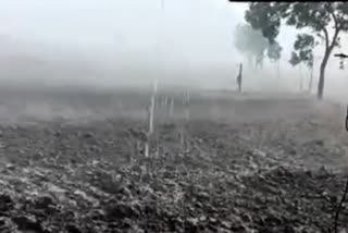 Unseasonal Rains :સૌરાષ્ટ્રમાં વૈશાખના તડકામાં અષાઢી માહોલનું સર્જન, સતત વરસાદથી ચિંતાનું ચકડોળ
