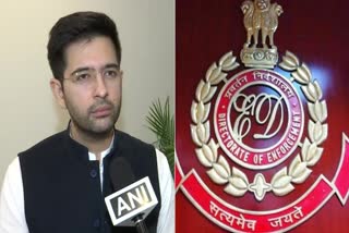 Raghav Chadha in Delhi liquor case  Delhi liquor case  ഡൽഹി എക്‌സൈസ് പോളിസി കേസിൽ രാഘവ് ഛദ്ദ  ആം ആദ്‌മി നേതാവ് രാഘവ് ഛദ്ദ പ്രതിപട്ടികയിൽ  മനീഷ് സിസോദി  എൻഫോഴ്‌സ്‌മെന്‍റ് ഡയറക്‌ടറേറ്റ്  ഡൽഹി മദ്യവിൽപ്പന നയം