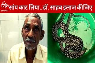 snake bite in samastipur