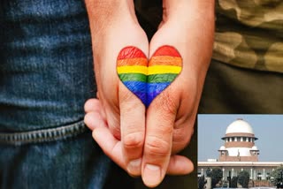 Supreme Court Judgement On Same Sex Marriage And Government Committee On It