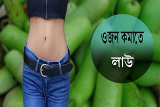 Gourd For Weight Lose News