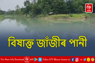 River water polluted at Janjimukh in Teok