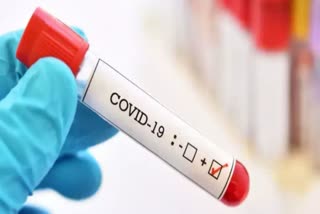 156 corona positive patients found