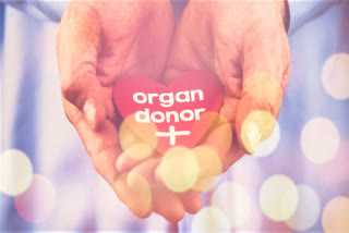 Organ donations tripled in 10 years