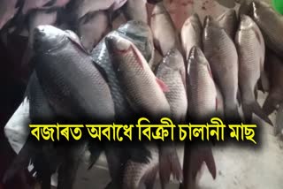 (Formalin detection in Fish