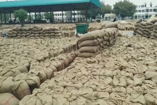 Problem of lifting in Mansa grain market