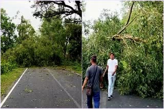 Water logging in Siliguri