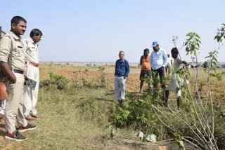 skull and skeleton of human body found in rewa