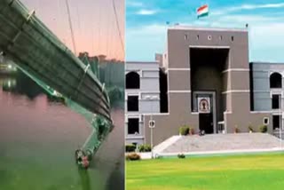 high-court-grants-bail-to-three-accused-in-morbi-hanging-bridge-accident