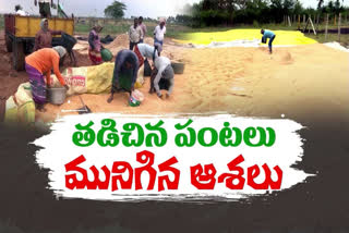 Farmers hardships in the joint Krishna district