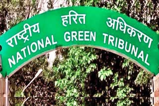 national green tribunal