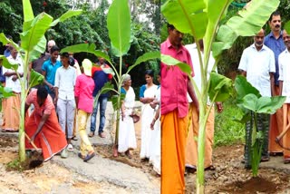 ശാന്തൻപാറയിൽ സഞ്ചാര യോഗ്യമായ റോഡ് ഇല്ല  ശാന്തൻപാറയിൽ പ്രതിഷേധവുമായി പ്രദേശവാസികൾ  ശാന്തൻപാറയിൽ റോഡിൽ വാഴ നട്ട് പ്രദേശവാസികൾ  There is no passable road in Shanthanpara  Residents protest  അധികൃതരുടെ അനാസ്ഥയിൽ പ്രതിഷേധിച്ചg  റോഡിൽ വാഴയും ചേനയും നട്ട് പ്രദേശവാസികൾ