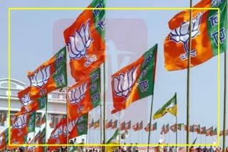 BJP to make major changes in Lok Sabha elections