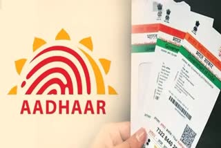 Aadhaar verification