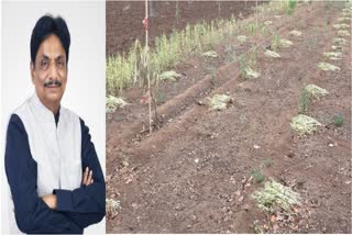 Gandhinagar News : કૃષિ રાહત પેકેજને લઇને ખેડૂતોના લાભ માટે માર્ગદર્શિકા જાહેર કરતી સરકાર