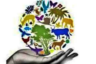 International Biodiversity Day