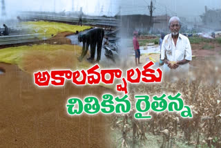 Farmers lost due to rains