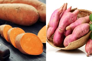 benefits of sweet potato in telugu