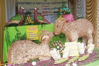 Kotagiri vegetable exhibition