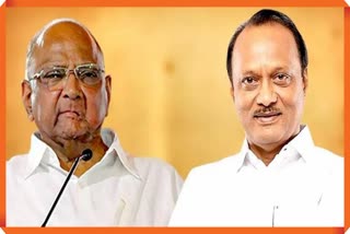 Sharad Pawar Opinion On Ajit Pawar