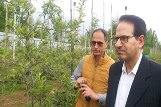 director-horticulture-kashmir-visited-pulwama