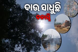 heat wave in boudh