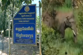 forest department has banned tourists after Arikomban elephant caught by the Kerala forest department entered the Meghamalai forest