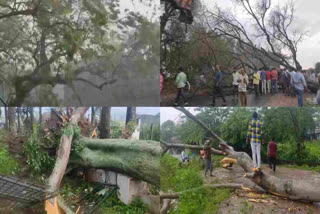 Rains in AP