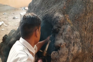 Forest personnel being given training to extinguish fire in palamu