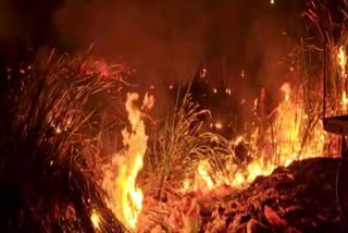 जहानाबाद में बस स्टैंड के पास झाड़ी में भीषण आग