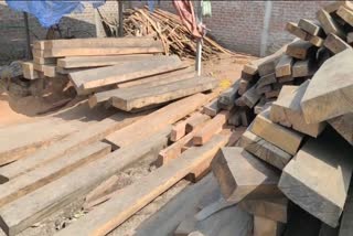 Illegal saw mill Seized