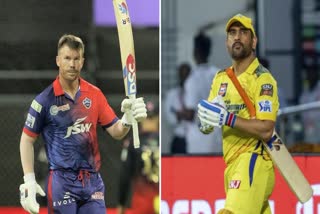 David Warner, MS Dhoni