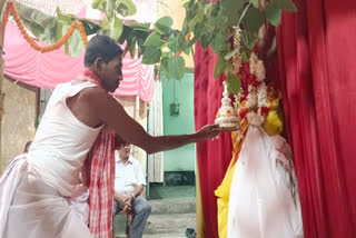 West Bengal: Wedding of banyan, fig trees held to raise awareness on climate change