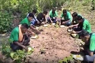 forest department workers picnic video