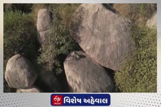 Sabarkantha News : 123થી વધુ પોઇન્ટ પર જંગલી પ્રાણીઓની વસતી ગણતરી, કયા પ્રકારની કામગીરી થઇ જૂઓ