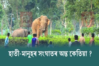 ৰাইজৰ সৈতে বন বিভাগৰ বিশেষ সভা