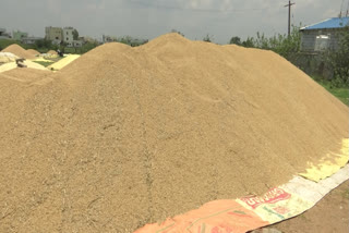 Crop Damage in Kamareddy