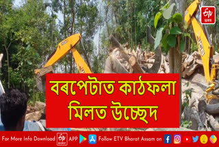 Saw mill seized in Barpeta