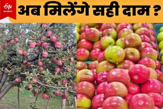 apple import in india