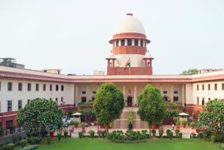 Rajasthan government presented SLP, presented SLP in Supreme Court