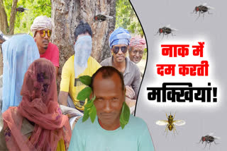 villagers covering faces with mosquito nets due to flies in Ghatshila