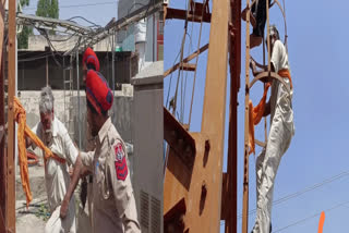 An old man climbed the mobile tower over land and money dispute in Barnala city