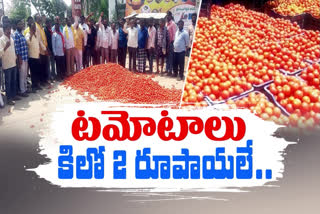 Farmers Worried About Tomato Prices
