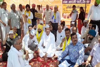 aam aadmi party protest in sirsa