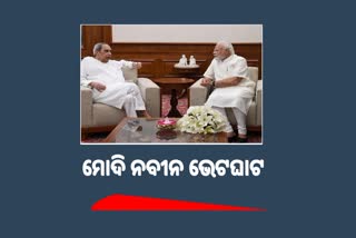 ରାଜ୍ୟ ସ୍ବାର୍ଥ ସମ୍ବଳିତ ପ୍ରସଙ୍ଗରେ ଆଲୋଚନା: ନବୀନ