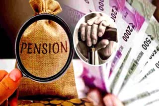 widow pension scheme in haryana