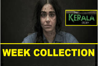 The Kerala Story Week Collection