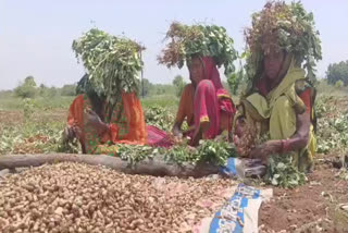 People working hard in Adilabad